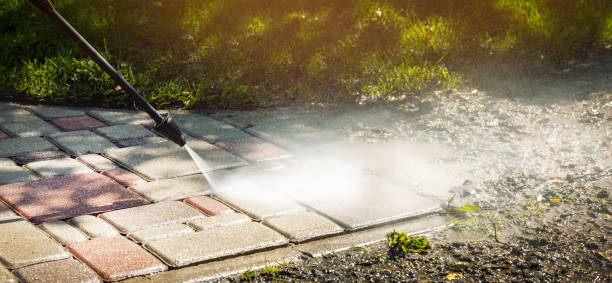 Animal Enclosure Cleaning in Newcomerstown, OH